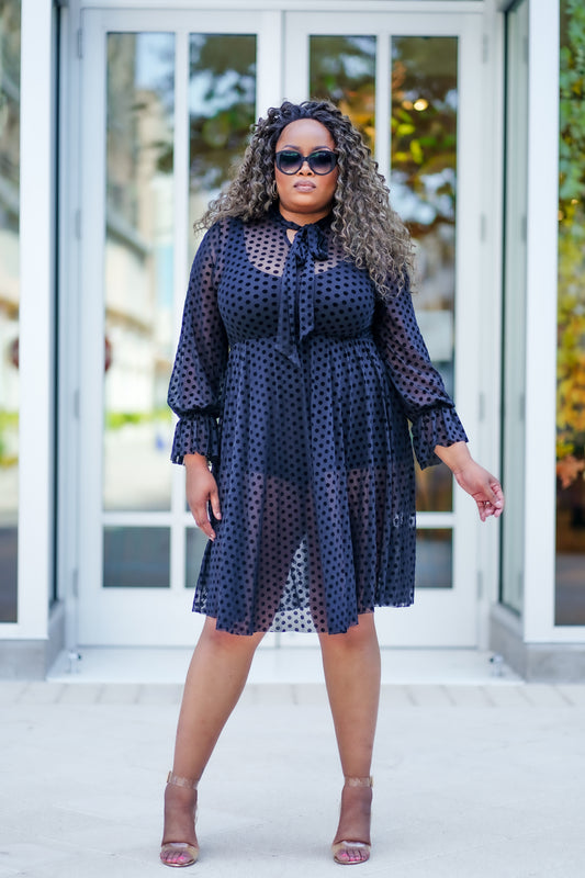 PLUS SIZE--Sexy N' Sheer Midi Dress